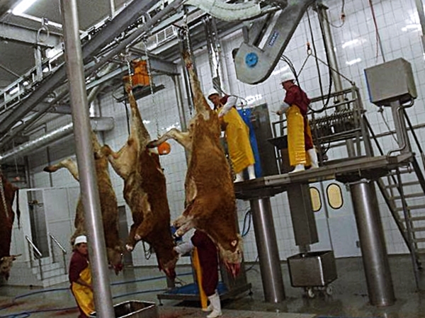 Цех забоя скота Цех для убоя скота